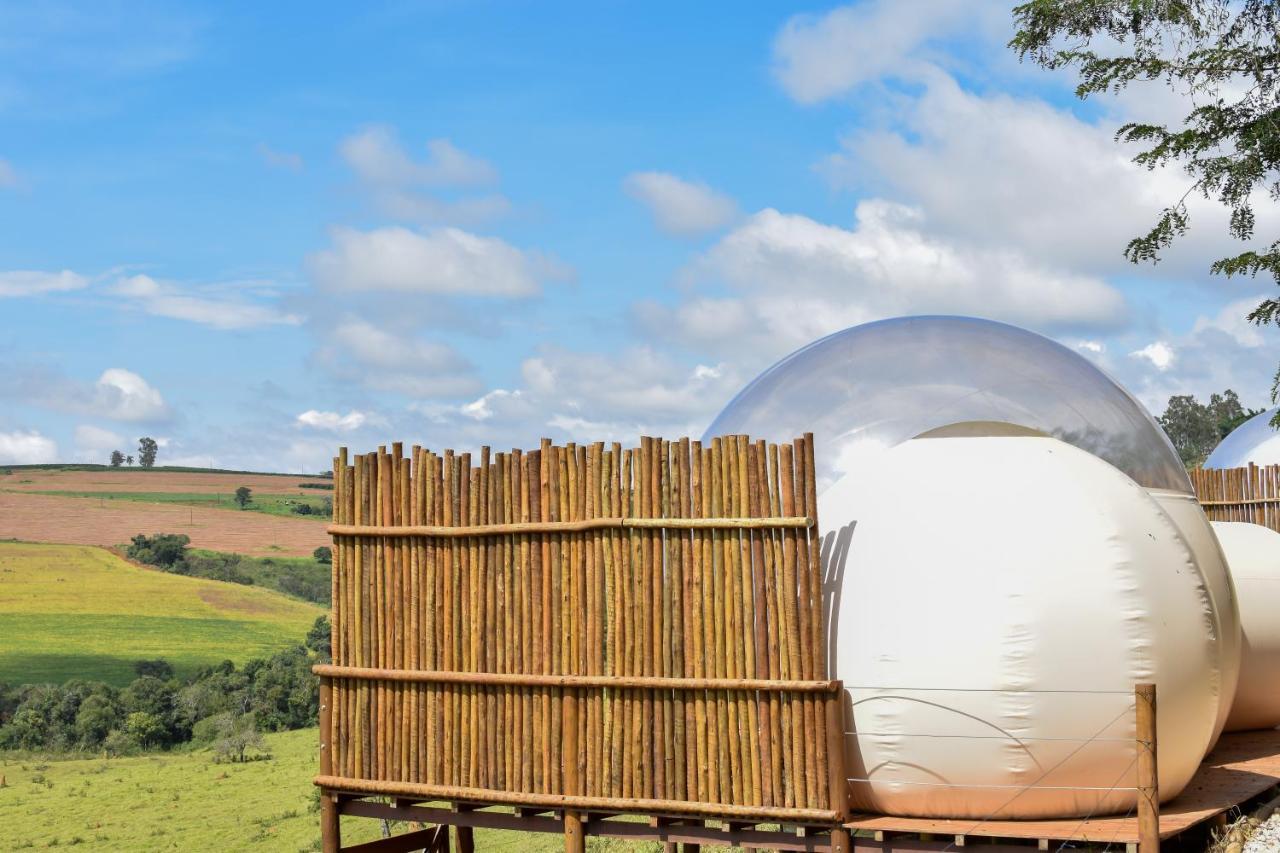 Bubble Pingo Do Mula Serra Da Canastra São Roque de Minas Exteriör bild
