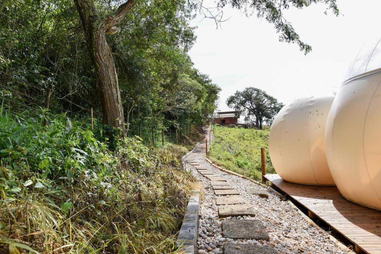 Bubble Pingo Do Mula Serra Da Canastra São Roque de Minas Exteriör bild