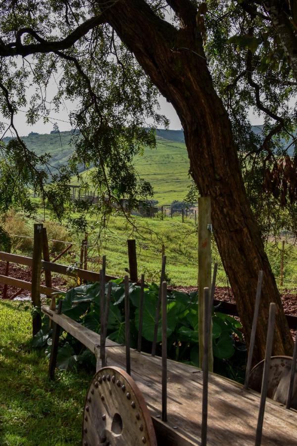 Bubble Pingo Do Mula Serra Da Canastra São Roque de Minas Exteriör bild